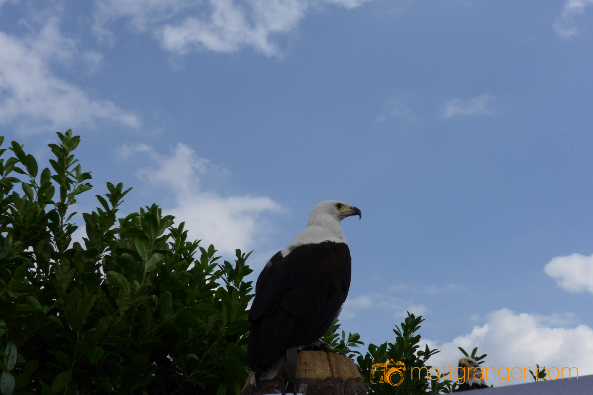 panasonic cm1 sample2